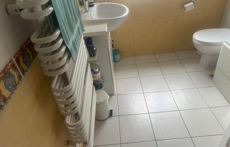Modern Bathroom Installation Beckenham